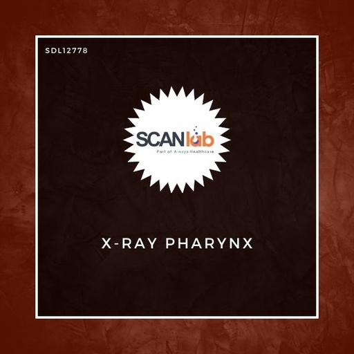 [SDL12778] X-RAY PHARYNX (SDL12778)
