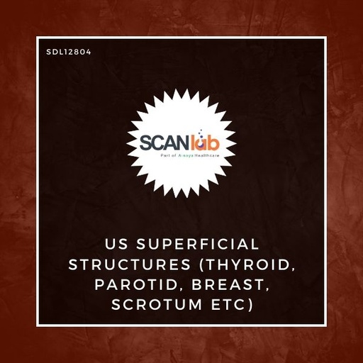 [SDL12804] US SUPERFICIAL STRUCTURES (THYROID, PAROTID, BREAST, SCROTUM ETC--) (SDL12804)