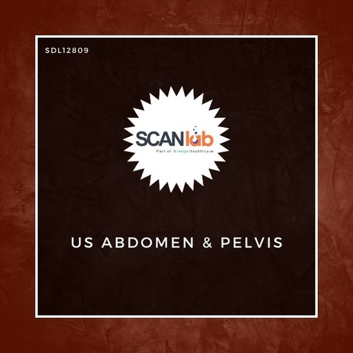 [SDL12809] US ABDOMEN & PELVIS (SDL12809)