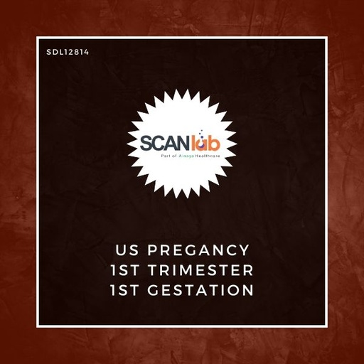 [SDL12814] US PREGANCY 1ST TRIMESTER 1ST GESTATION (SDL12814)