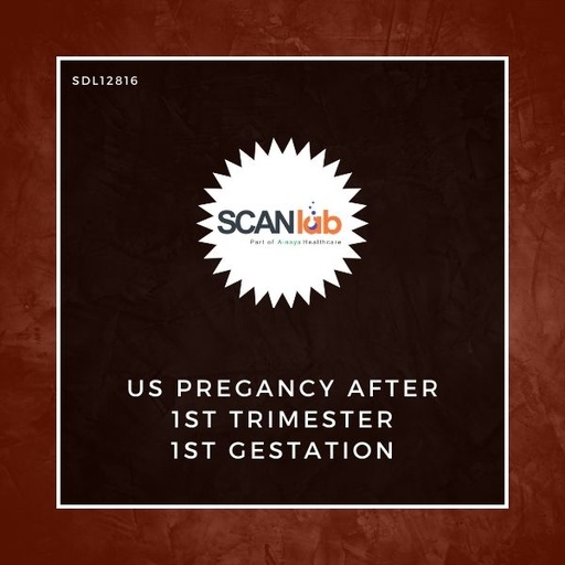 [SDL12816] US PREGANCY AFTER 1ST TRIMESTER 1ST GESTATION (SDL12816)