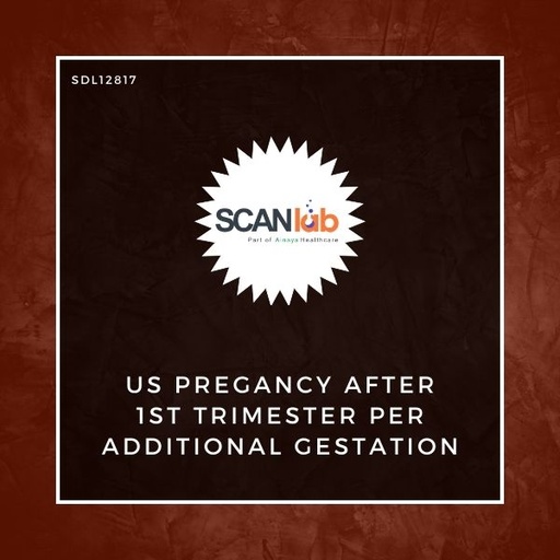 [SDL12817] US PREGANCY AFTER 1ST TRIMESTER PER ADDITIONAL GESTATION (SDL12817)
