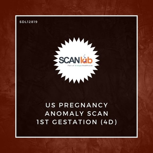 [SDL12819] US PREGNANCY ANOMALY SCAN 1ST GESTATION (4D) (SDL12819)