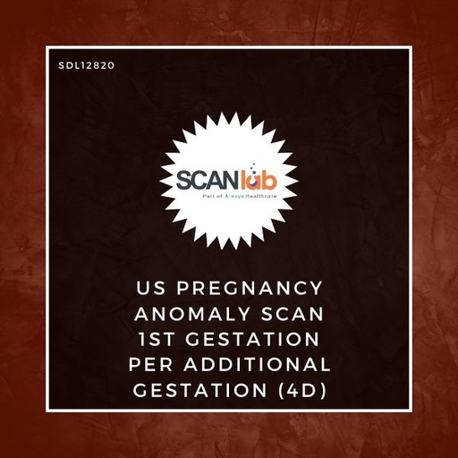 [SDL12820] US PREGNANCY ANOMALY SCAN 1ST GESTATION PER ADDITIONAL GESTATION (4D) (SDL12820)