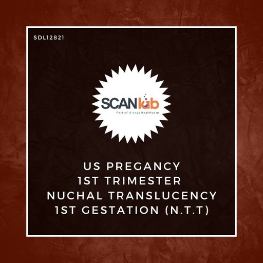 [SDL12821] US PREGANCY 1ST TRIMESTER NUCHAL TRANSLUCENCY 1ST GESTATION ( N.T.T) (SDL12821)