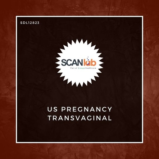 [SDL12823] US PREGNANCY TRANSVAGINAL (SDL12823)