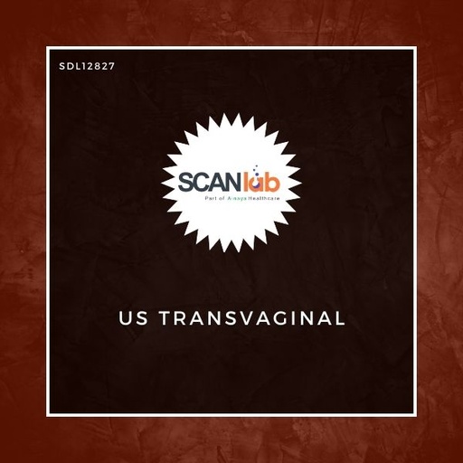 [SDL12827] US TRANSVAGINAL (SDL12827)