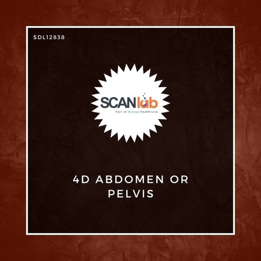 [SDL12838] 4D ABDOMEN OR PELVIS (SDL12838)