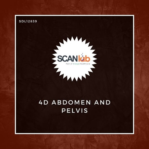 [SDL12839] 4D ABDOMEN AND PELVIS (SDL12839)