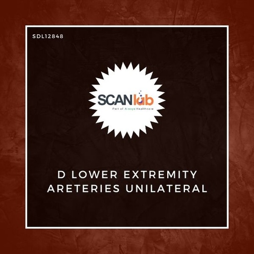 [SDL12848] D LOWER EXTREMITY ARETERIES UNILATERAL (SDL12848)