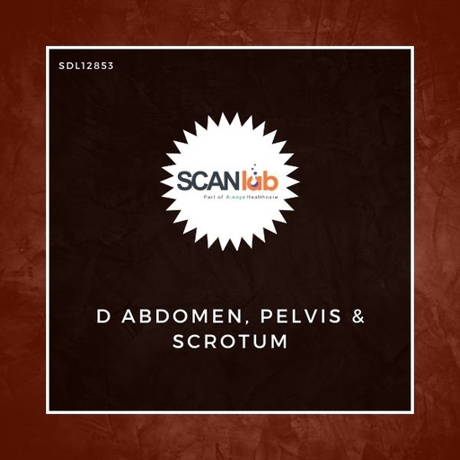 [SDL12853] D ABDOMEN, PELVIS & SCROTUM (SDL12853)