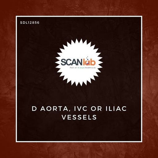 [SDL12856] D AORTA, IVC OR ILIAC VESSELS (SDL12856)