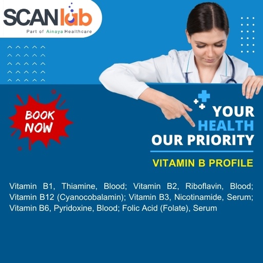 [SDL12628] VITAMIN B PROFILE (SDL12628)