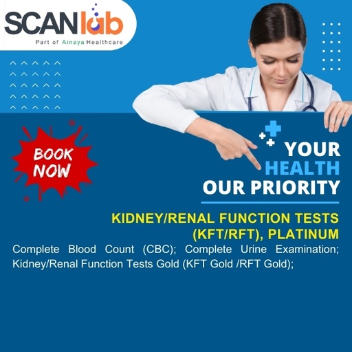 [SDL11746] KIDNEY/RENAL FUNCTION TESTS (KFT/RFT), PLATINUM (SDL11746)