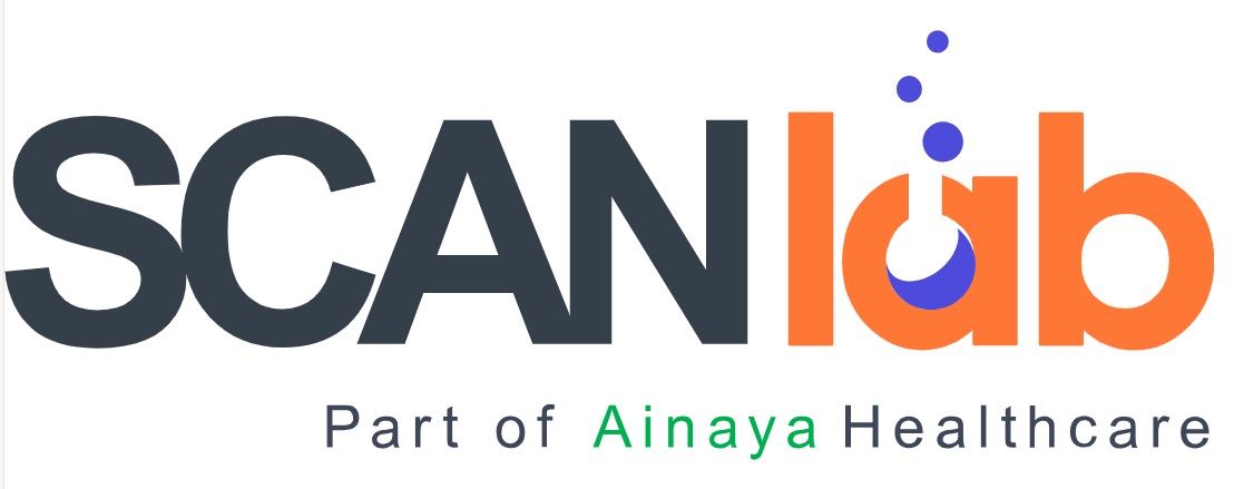 My Website